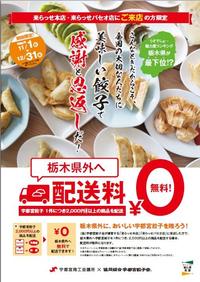 宇都宮餃子配送無料ポスター.jpg